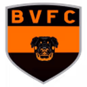 Escudo Bela Vista TO