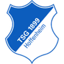 Escudo Hoffenheim II