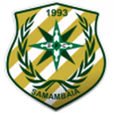 Escudo Samambaia